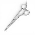 Chophawk Hawk Professional Hair Cutting Scissors 6"